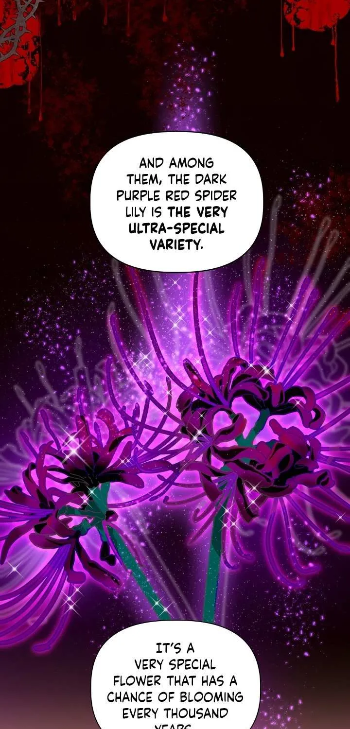 A Transmigrator’s Privilege Chapter 26 page 50 - 