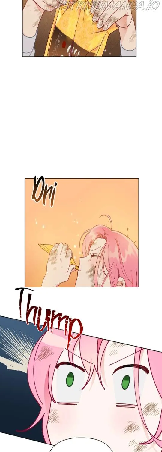 A Transmigrator’s Privilege Chapter 32 page 26 - 