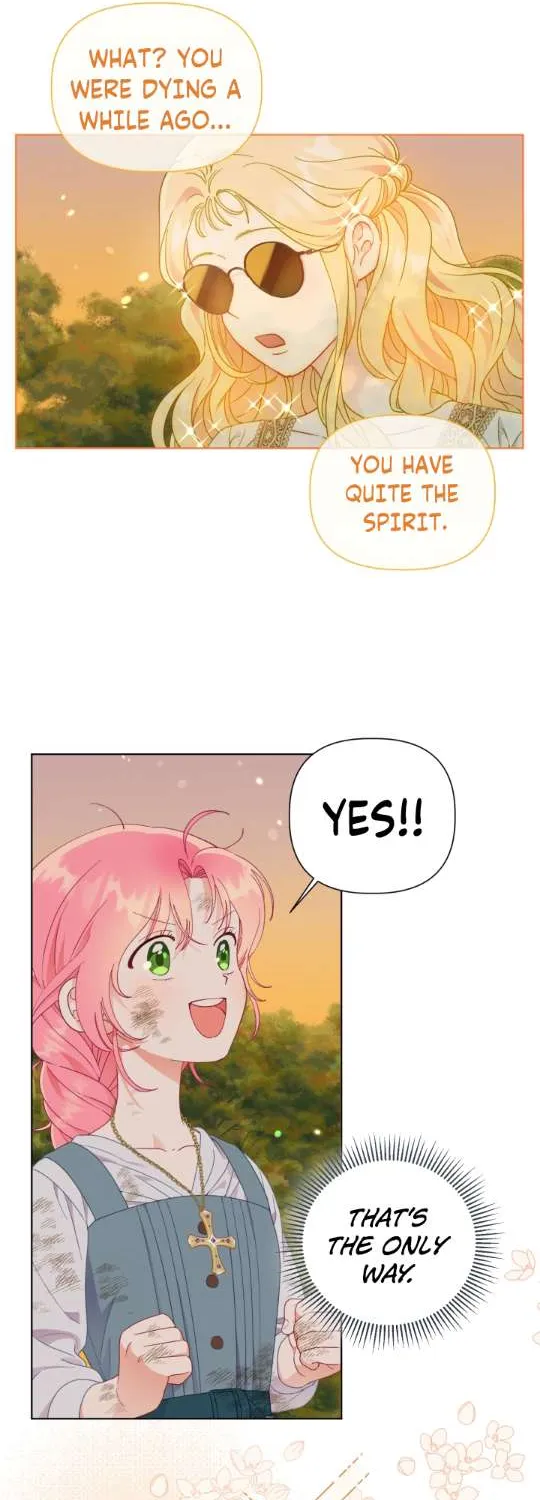 A Transmigrator’s Privilege Chapter 32 page 31 - 