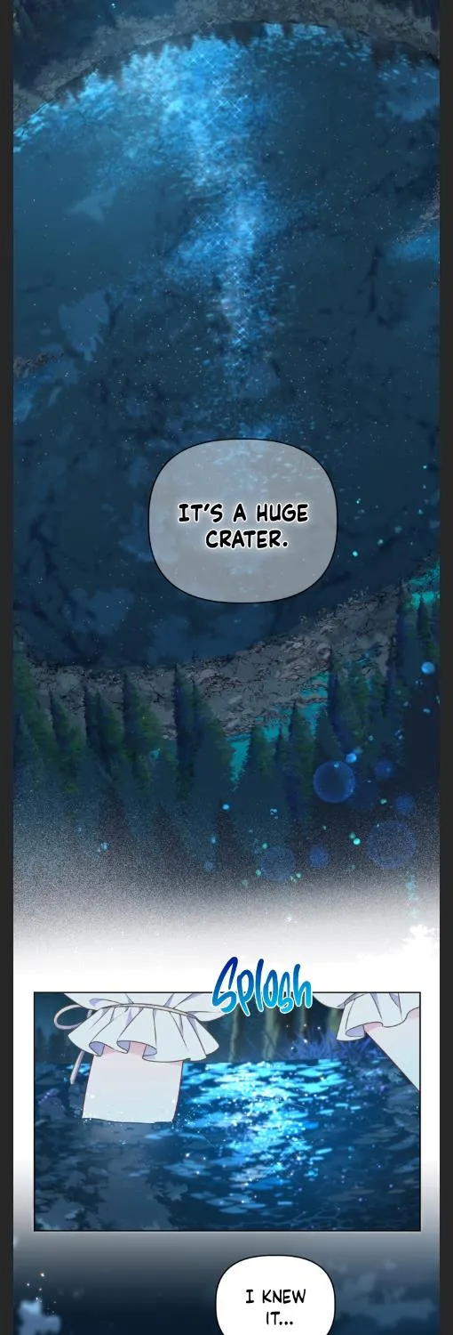 A Transmigrator’s Privilege Chapter 36 page 47 - 