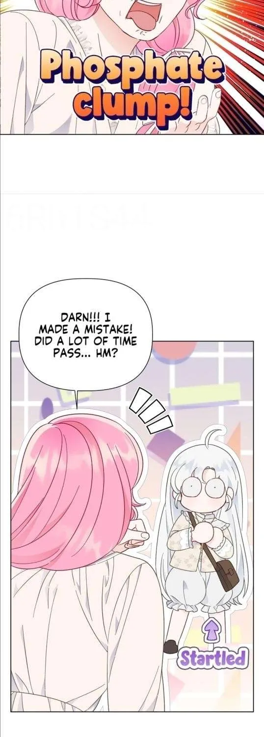 A Transmigrator’s Privilege Chapter 39 page 25 - 