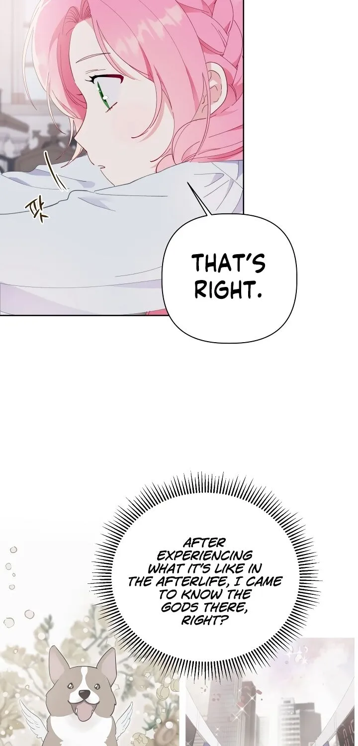 A Transmigrator’s Privilege Chapter 8 page 49 - 
