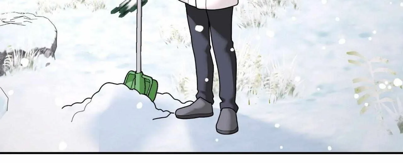 A Tree Without Roots Chapter 92 page 50 - 