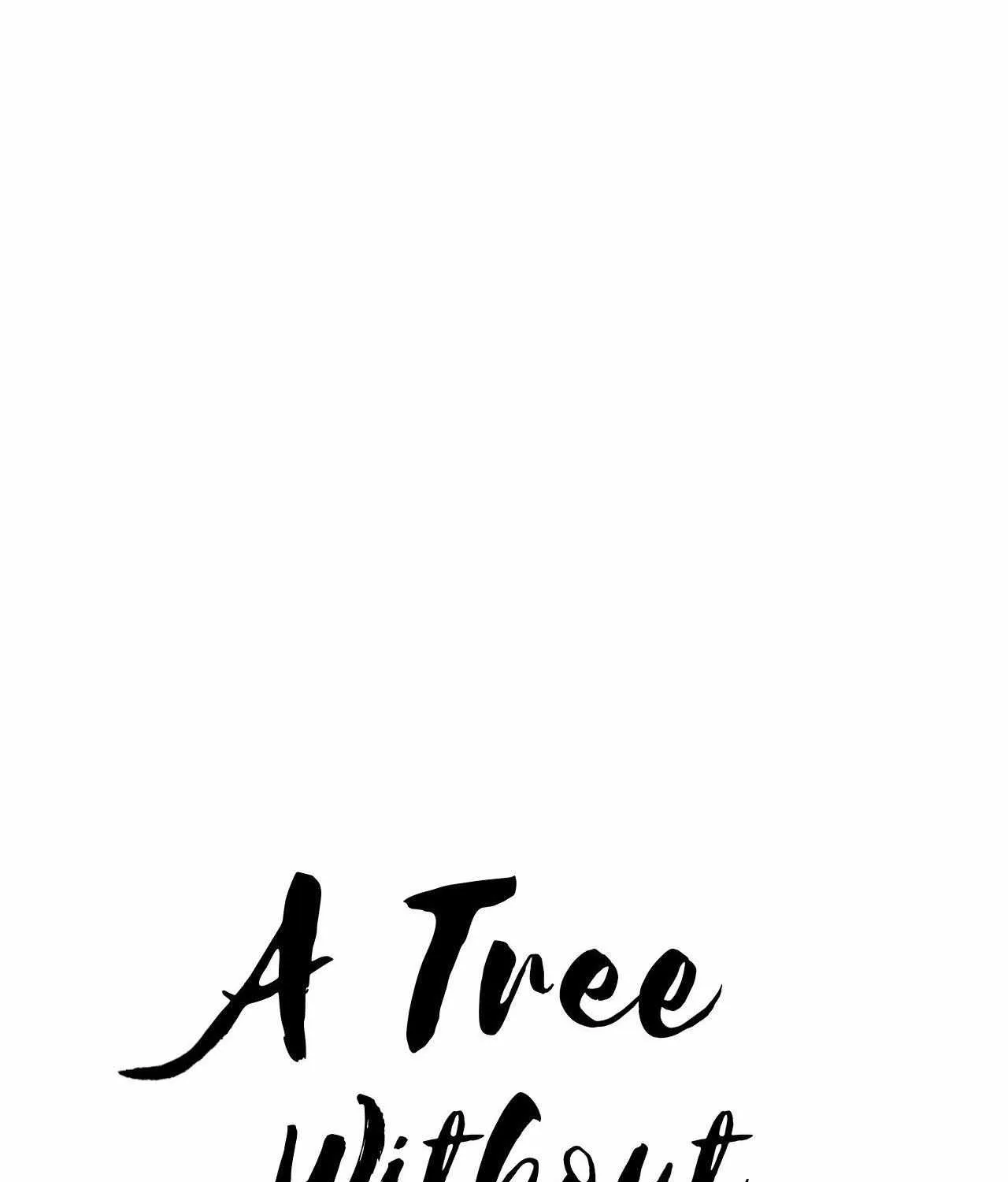 A Tree Without Roots Chapter 94 page 13 - 