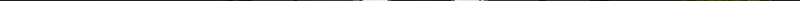 A True Doctor Chapter 306 page 40 - 