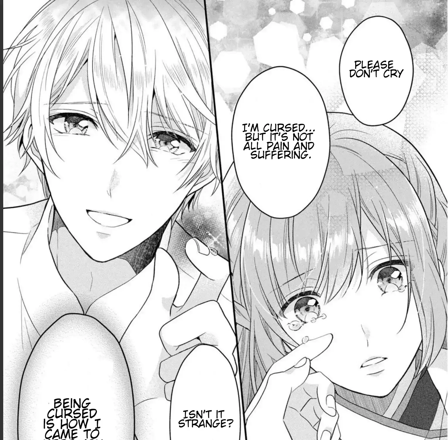 A Useless Saint and A Cursed Paladin Chapter 10.1 page 25 - 