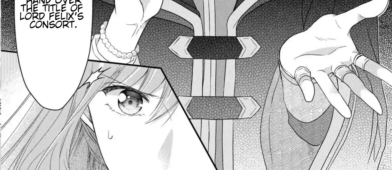 A Useless Saint and A Cursed Paladin Chapter 4.2 page 29 - 