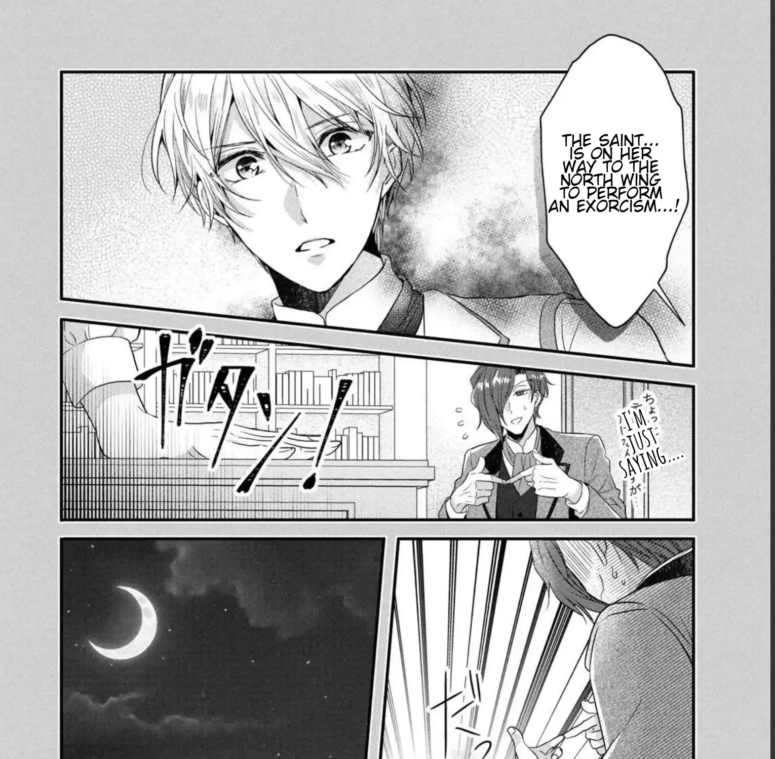 A Useless Saint and A Cursed Paladin Chapter 5.1 page 28 - 