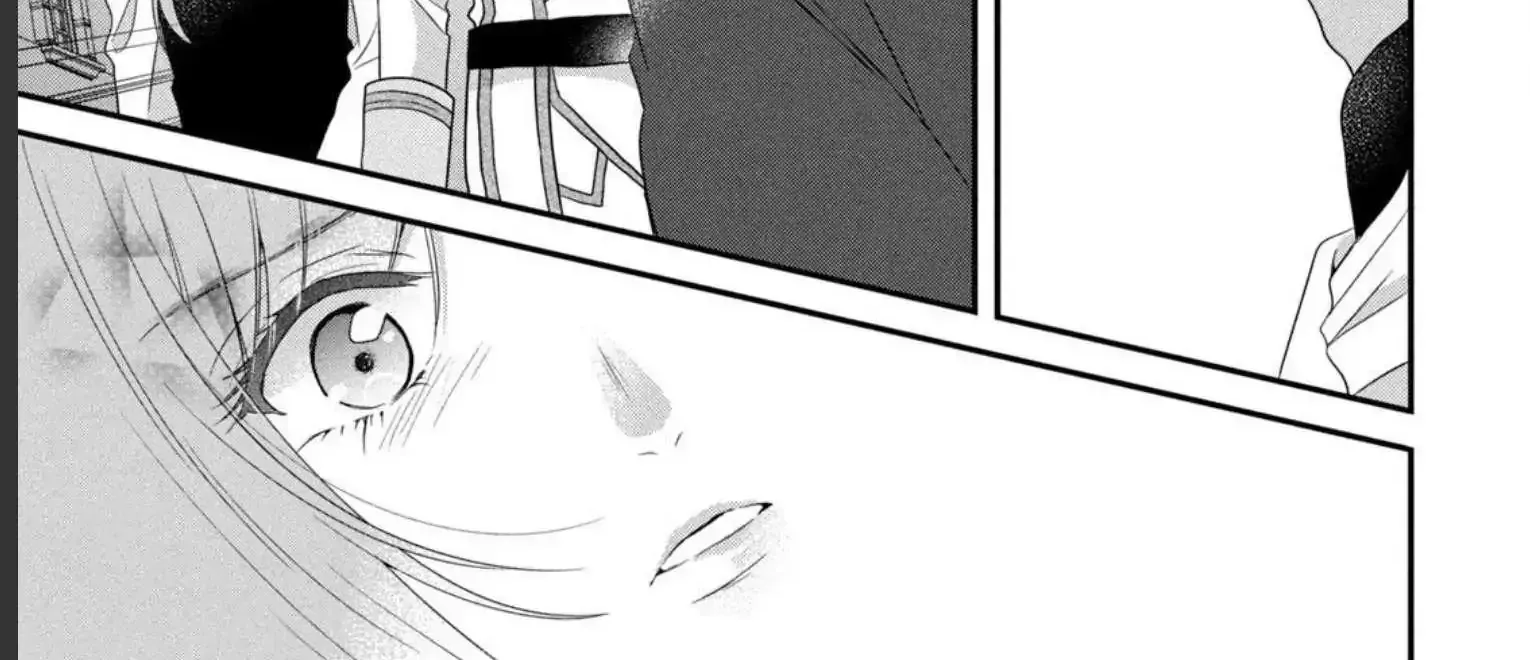 A Useless Saint and A Cursed Paladin Chapter 7.2 page 40 - 