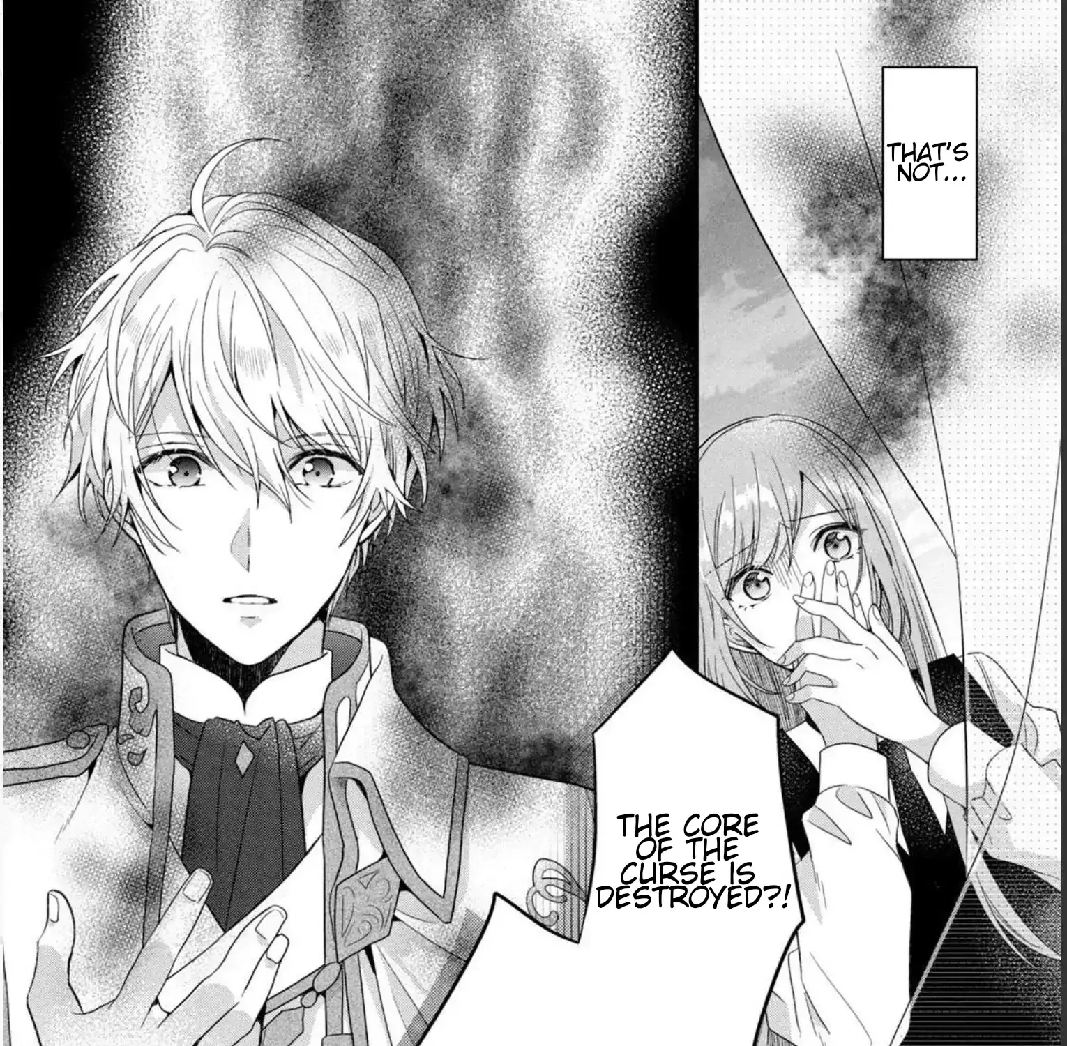 A Useless Saint and A Cursed Paladin Chapter 7.2 page 41 - 