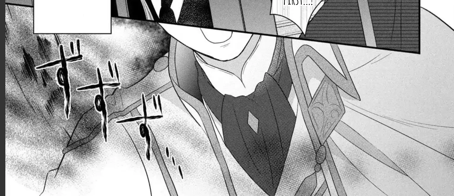 A Useless Saint and A Cursed Paladin Chapter 8.1 page 17 - 
