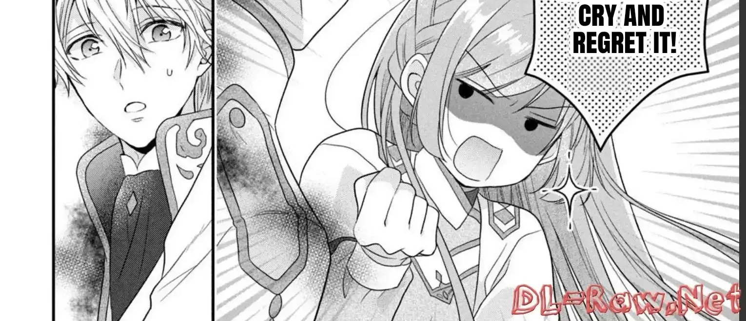 A Useless Saint and A Cursed Paladin Chapter 9.2 page 17 - 