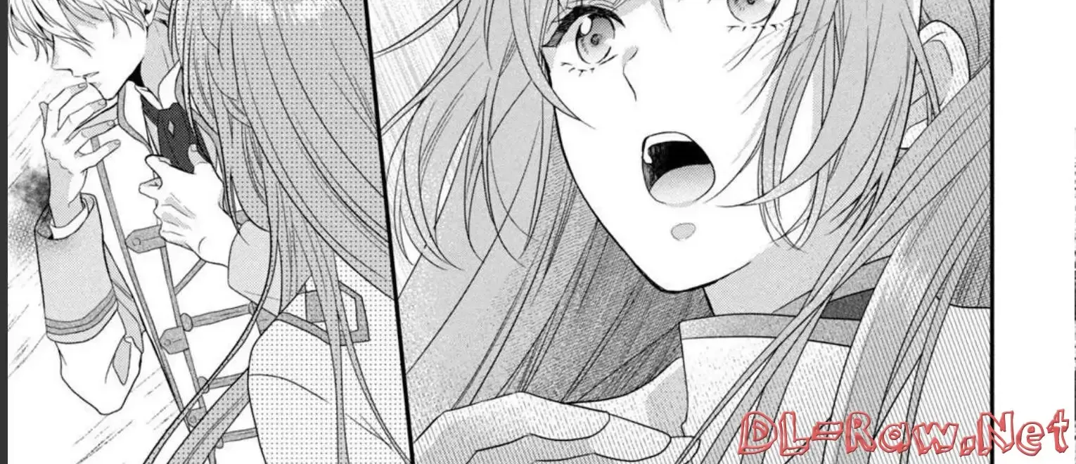 A Useless Saint and A Cursed Paladin Chapter 9.2 page 27 - 