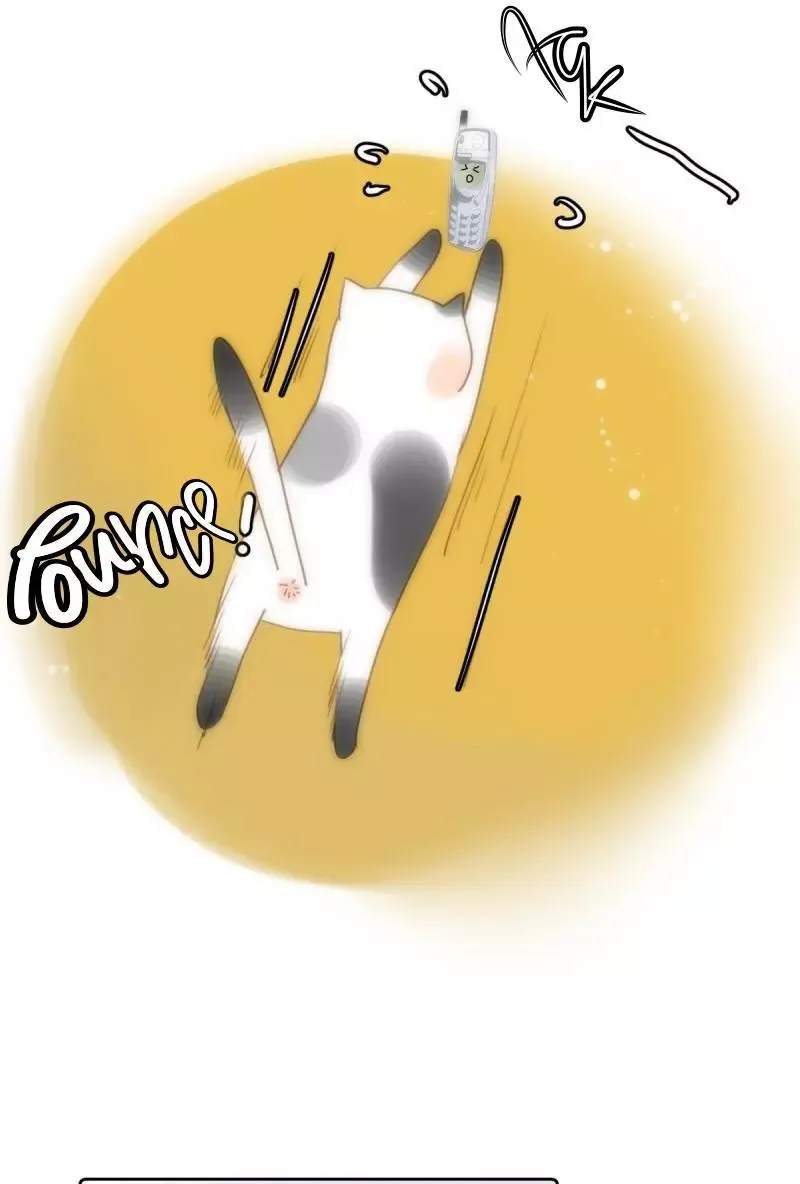 A Vast Sky Full of Stars Have Let Me Know Chapter 34 page 43 - 
