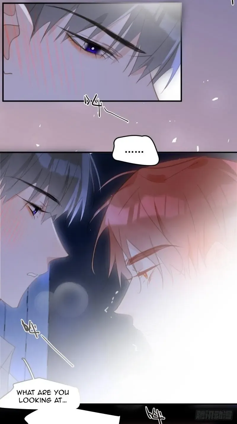 A Vast Sky Full of Stars Have Let Me Know Chapter 49 page 5 - 