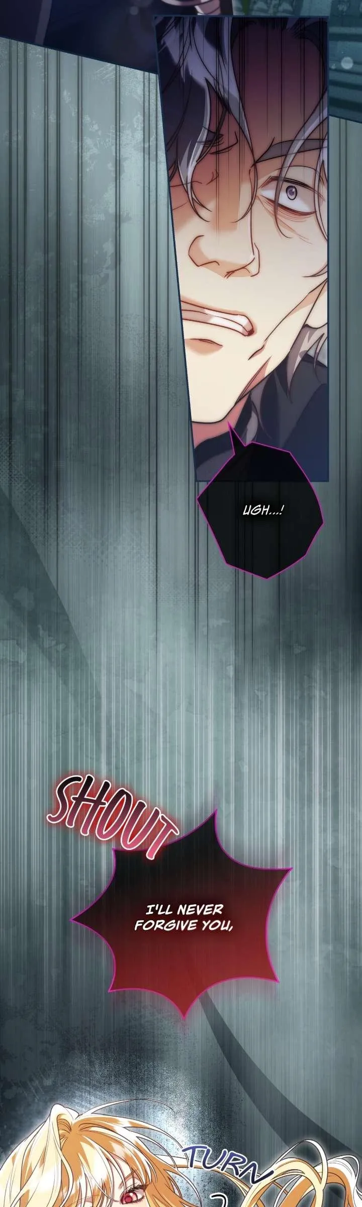 A Villain Consumed by Desire Chapter 13 page 17 - 