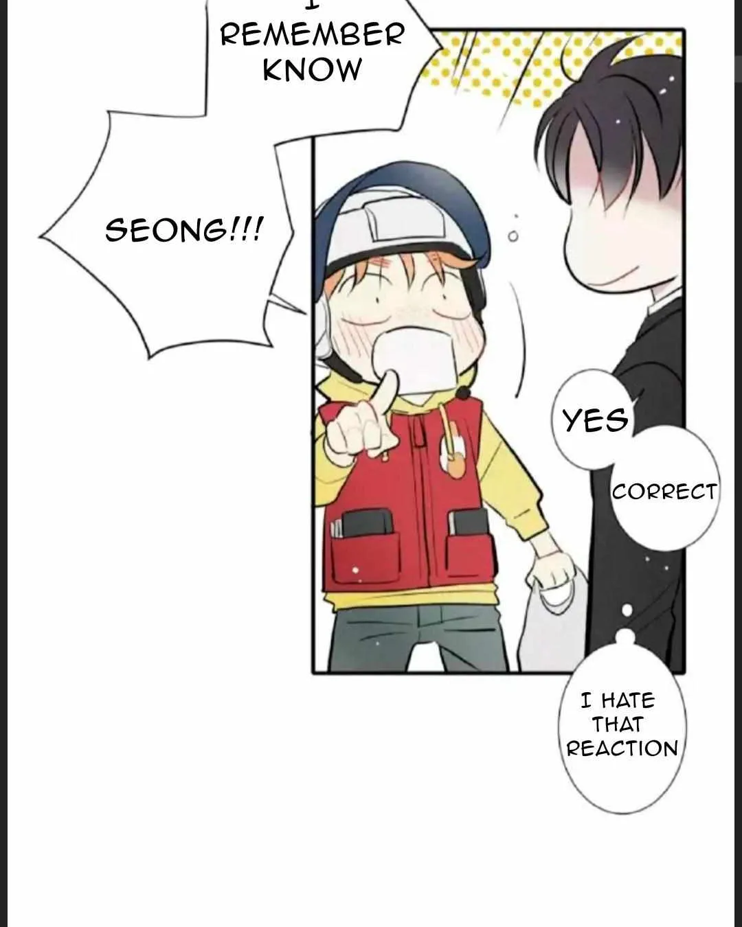A well known love affair Chapter 1 page 30 - 