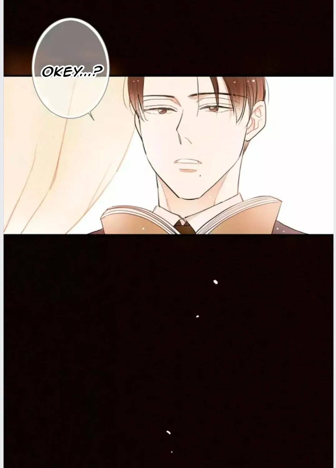 A well known love affair Chapter 11 page 65 - 