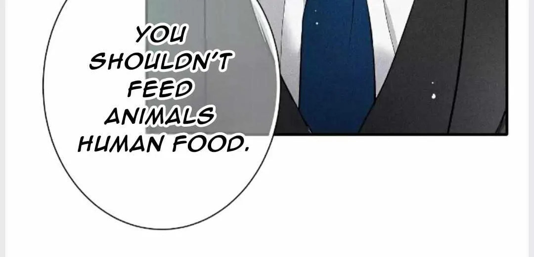 A well known love affair Chapter 18 page 20 - 