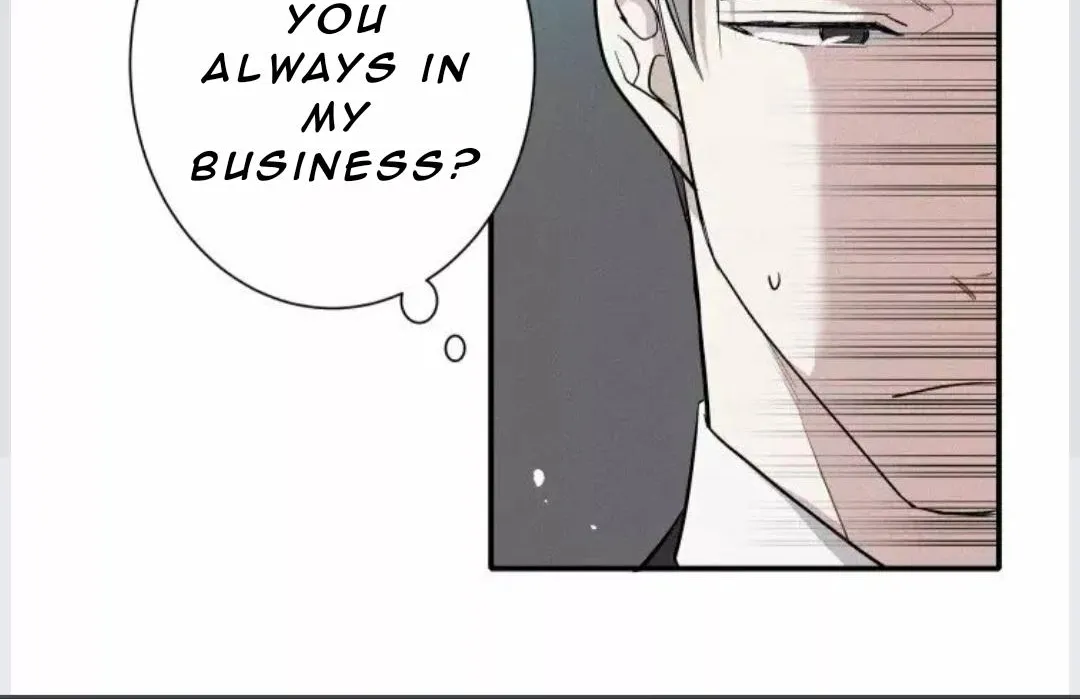 A well known love affair Chapter 4 page 85 - 