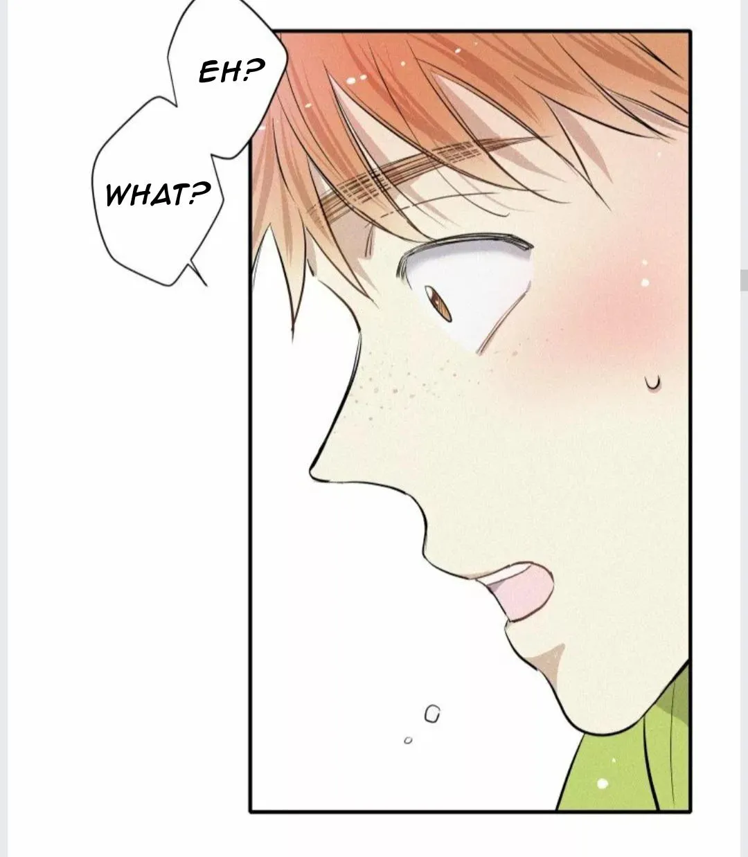 A well known love affair Chapter 5 page 45 - 