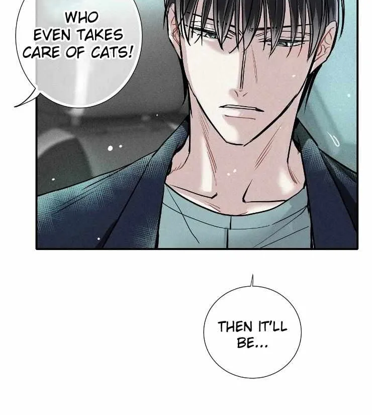 A well known love affair Chapter 64 page 12 - 