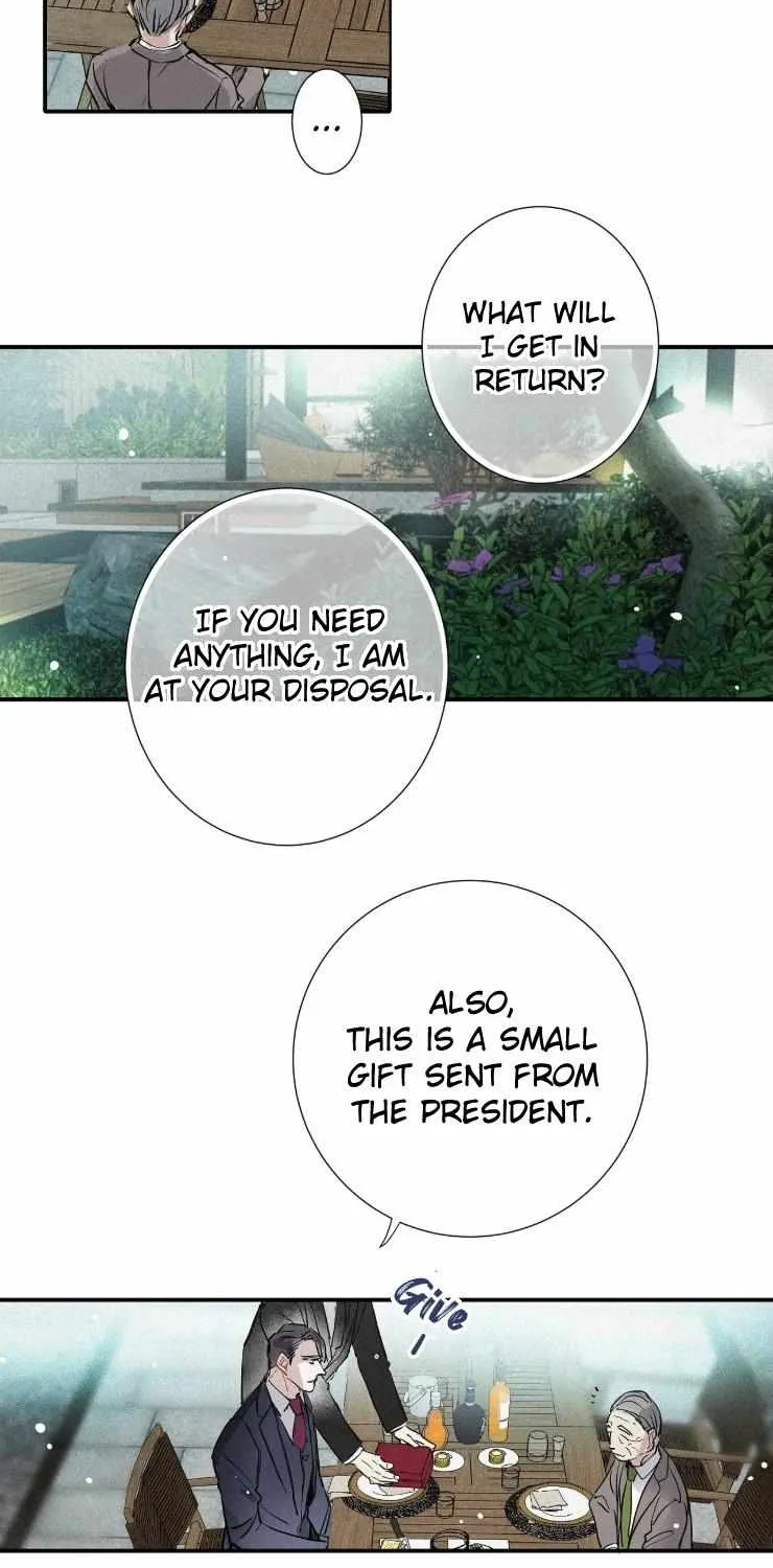 A well known love affair Chapter 65 page 27 - 