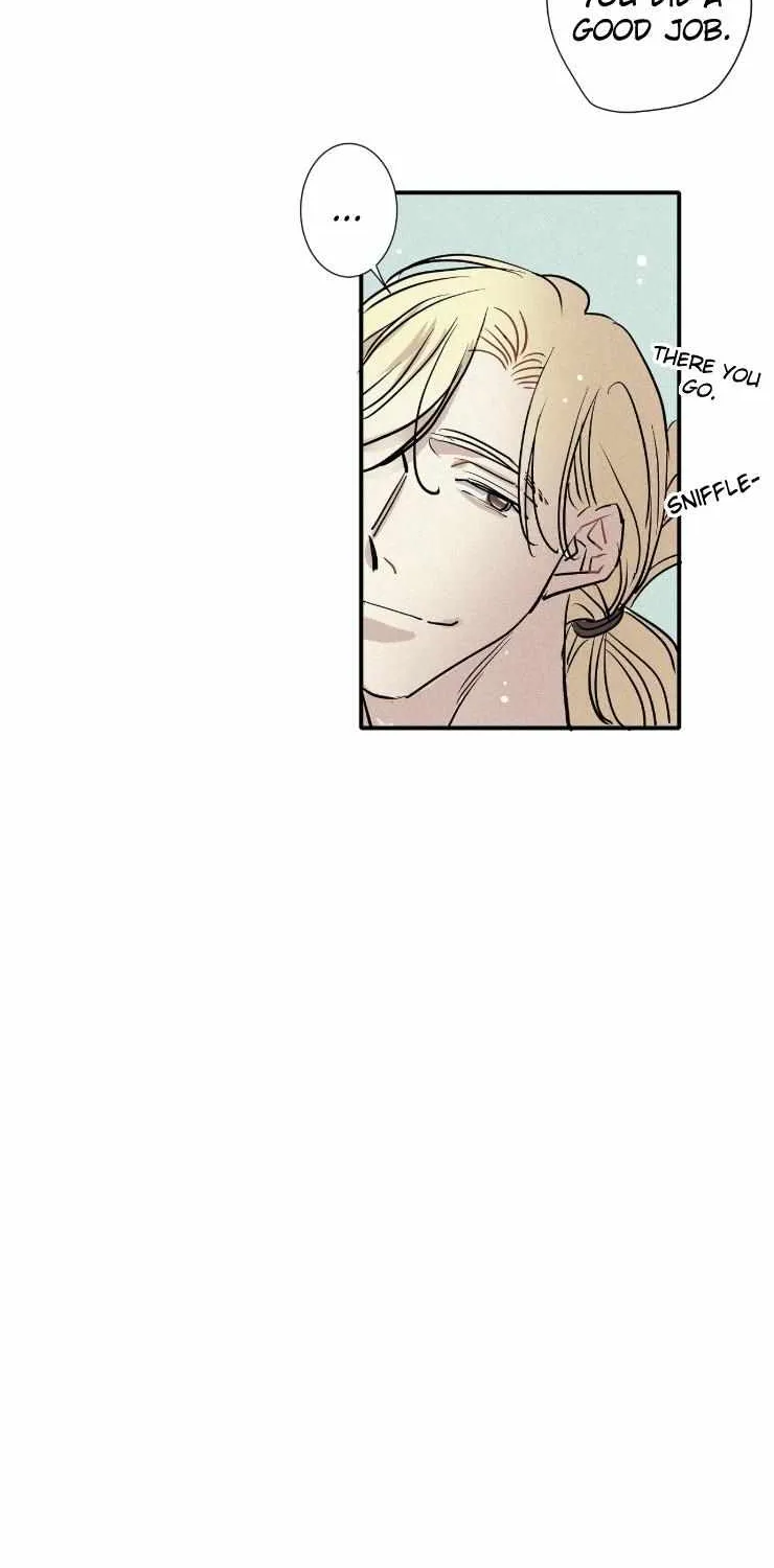 A well known love affair Chapter 67 page 28 - 
