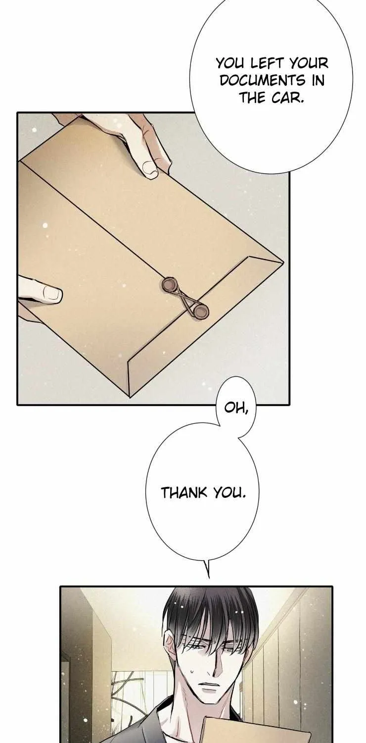A well known love affair Chapter 69 page 14 - 