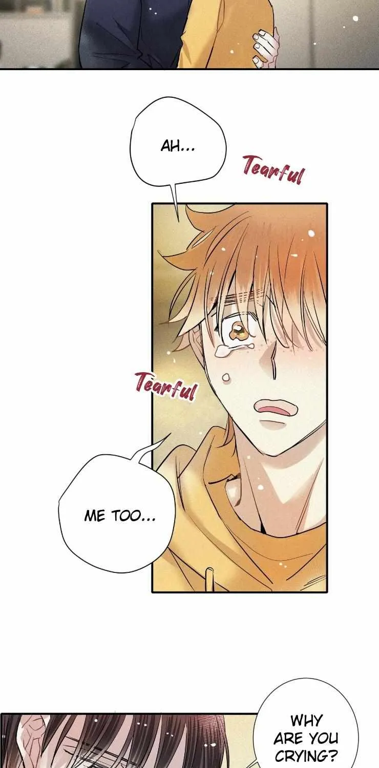 A well known love affair Chapter 69 page 38 - 
