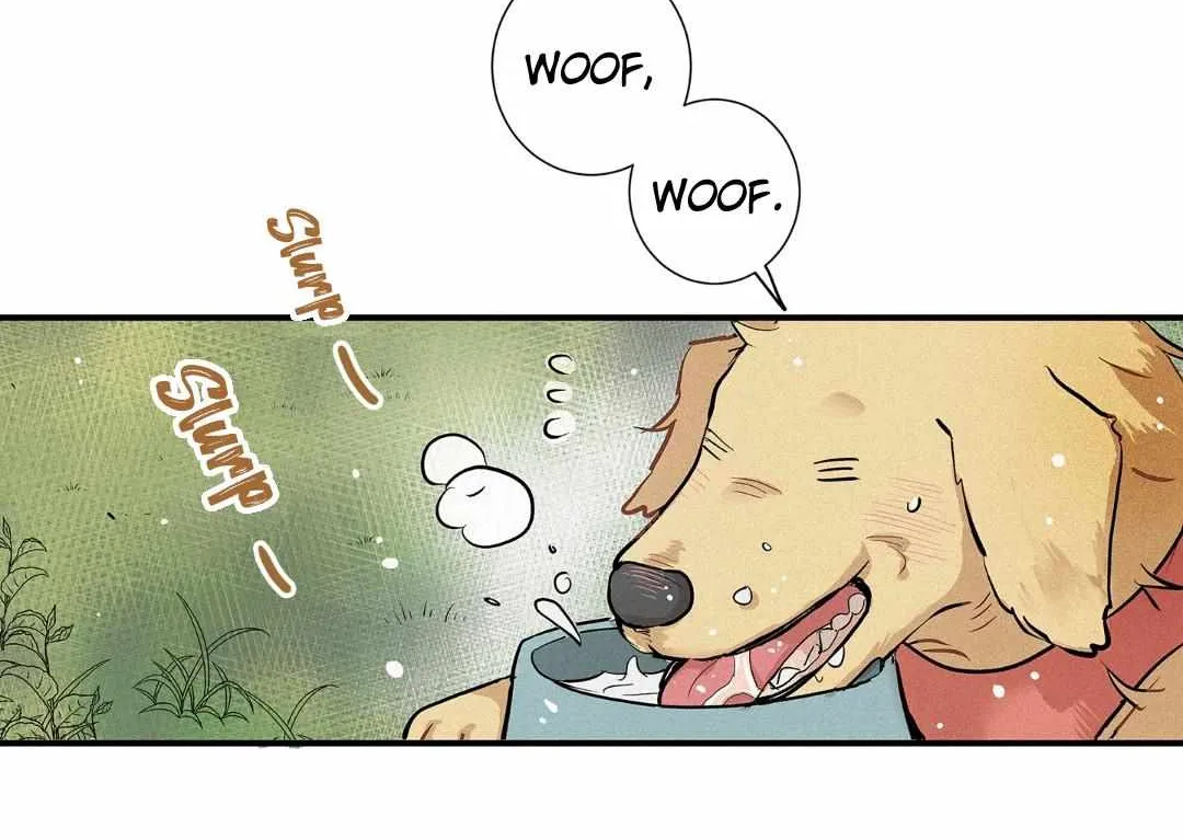 A well known love affair Chapter 75 page 51 - 