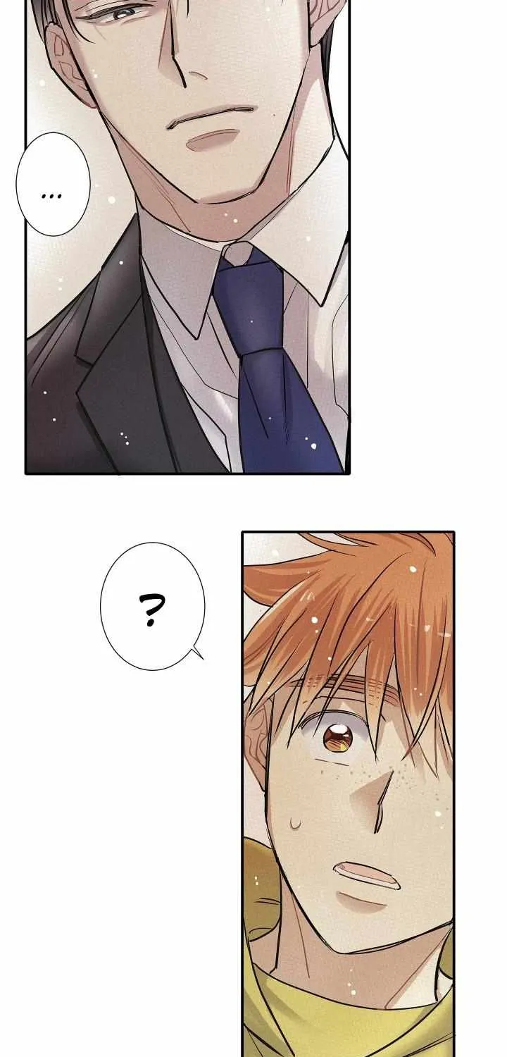 A well known love affair Chapter 80 page 39 - 