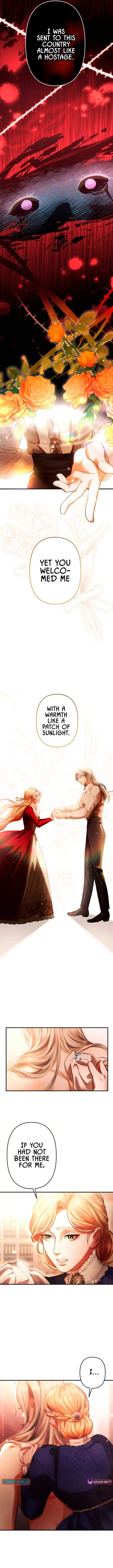 A Widowed Queen’s Devotion for Love Chapter 1 page 7 - 