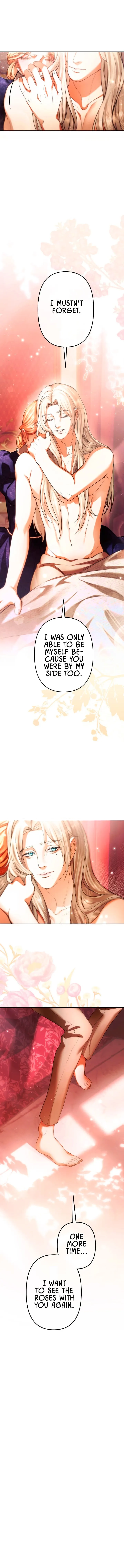 A Widowed Queen’s Devotion for Love Chapter 1 page 8 - 