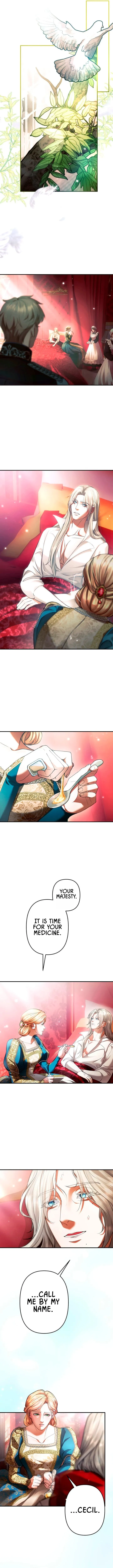 A Widowed Queen’s Devotion for Love Chapter 1 page 9 - 