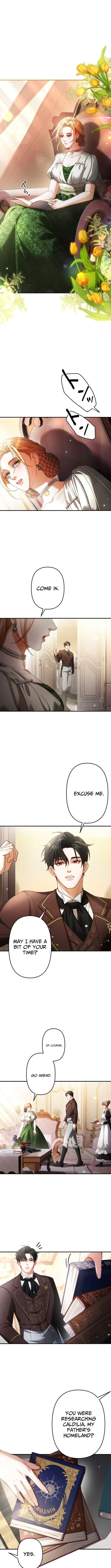 A Widowed Queen’s Devotion for Love Chapter 11 page 4 - 