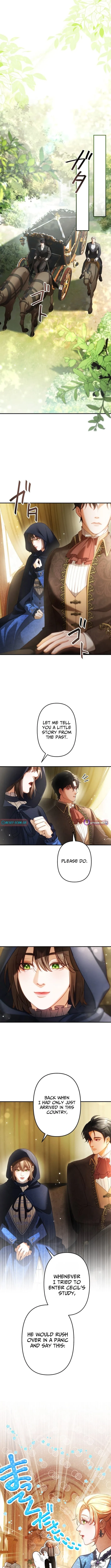 A Widowed Queen’s Devotion for Love Chapter 11 page 9 - 