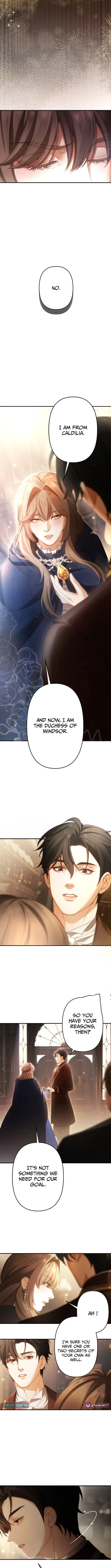 A Widowed Queen’s Devotion for Love Chapter 13 page 4 - 