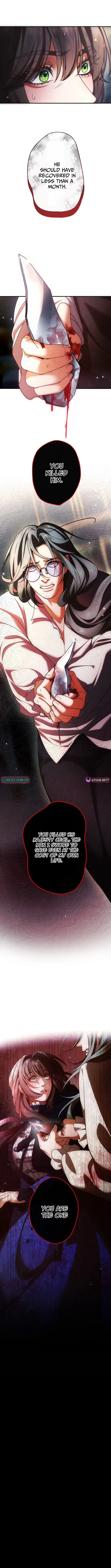 A Widowed Queen’s Devotion for Love Chapter 14 page 11 - 