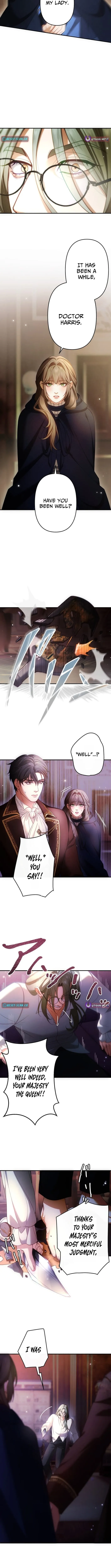 A Widowed Queen’s Devotion for Love Chapter 14 page 9 - 