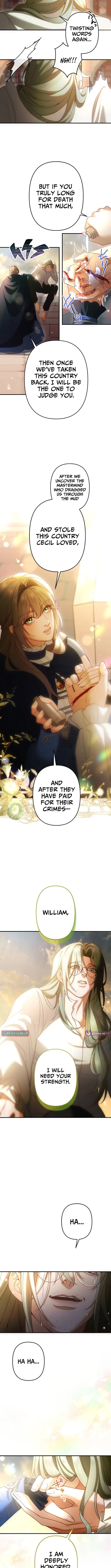 A Widowed Queen’s Devotion for Love Chapter 15 page 8 - 