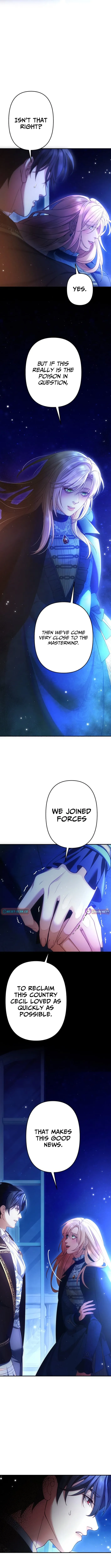 A Widowed Queen’s Devotion for Love Chapter 16 page 12 - 