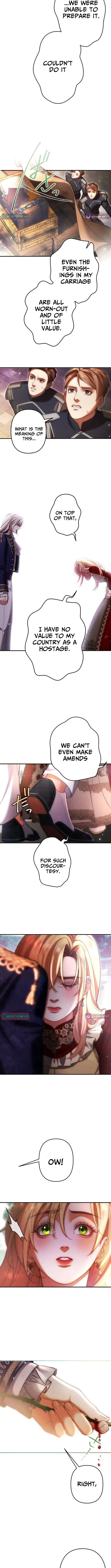 A Widowed Queen’s Devotion for Love Chapter 17 page 5 - 