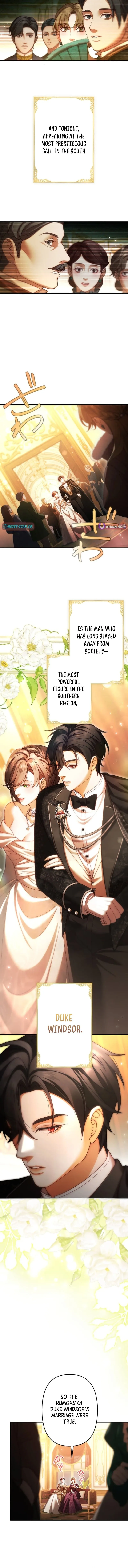 A Widowed Queen’s Devotion for Love Chapter 19 page 4 - 