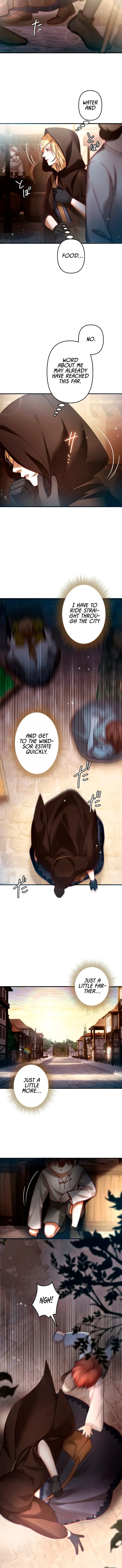A Widowed Queen’s Devotion for Love Chapter 2 page 11 - 