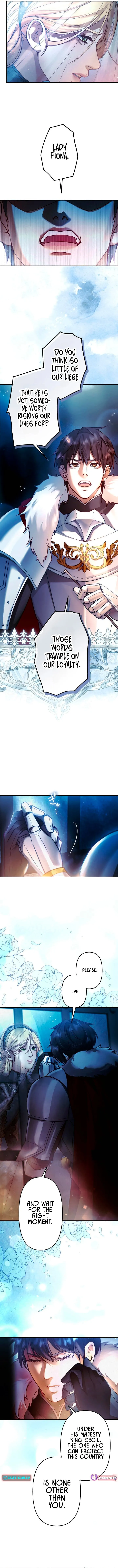 A Widowed Queen’s Devotion for Love Chapter 2 page 4 - 