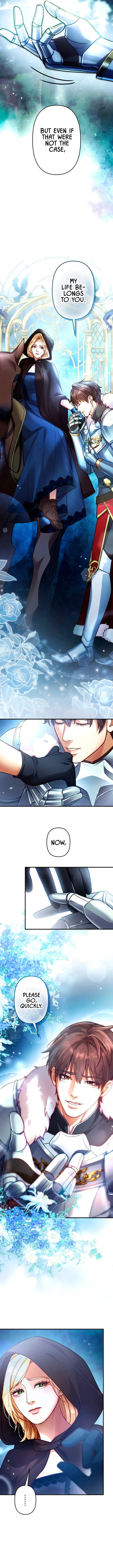 A Widowed Queen’s Devotion for Love Chapter 2 page 8 - 