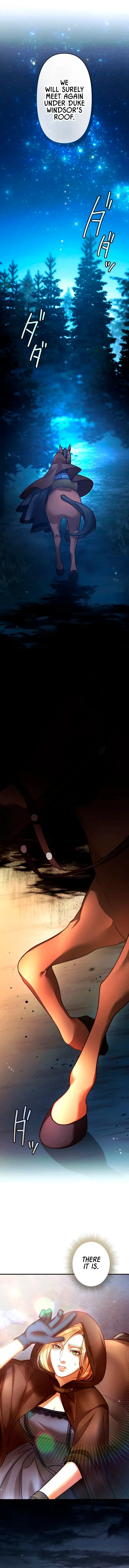 A Widowed Queen’s Devotion for Love Chapter 2 page 9 - 