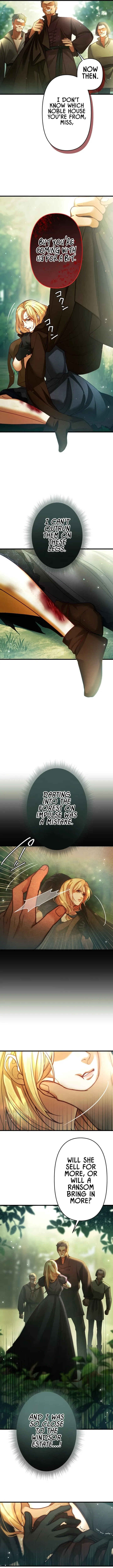 A Widowed Queen’s Devotion for Love Chapter 3 page 6 - 