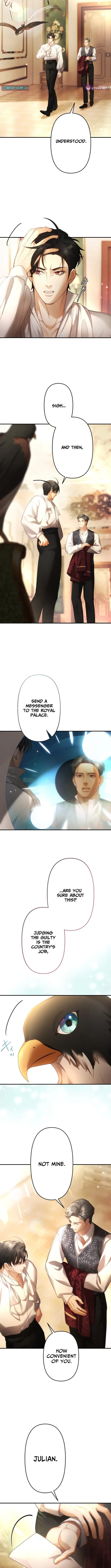 A Widowed Queen’s Devotion for Love Chapter 4 page 8 - 
